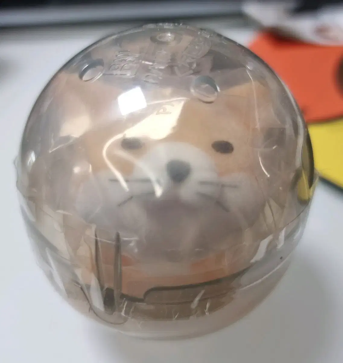 thumbnail-0